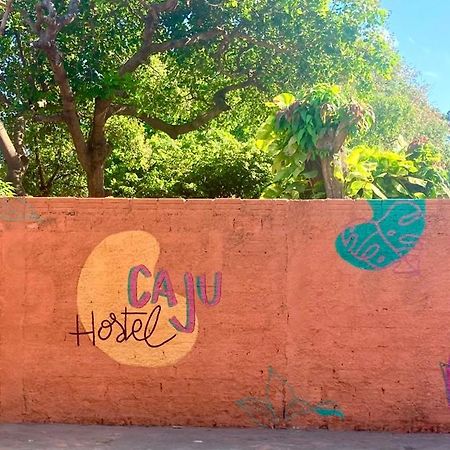 Caju Hostel 알테르 두 차오 외부 사진